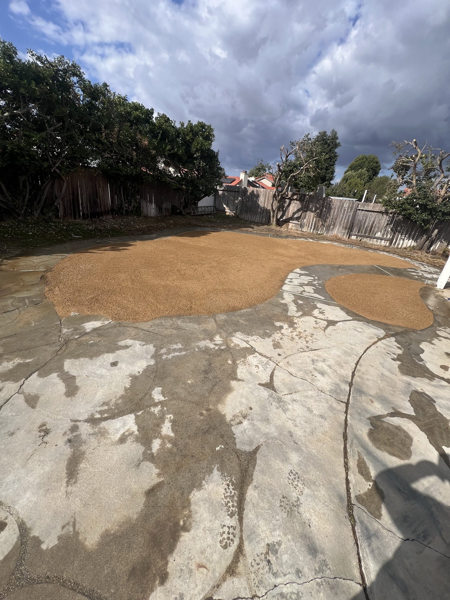 Stamped concrete patio with fresh sod